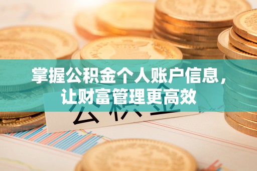朔州掌握公积金个人账户信息，让财富管理更高效