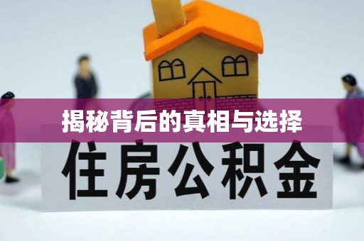 朔州揭秘背后的真相与选择
