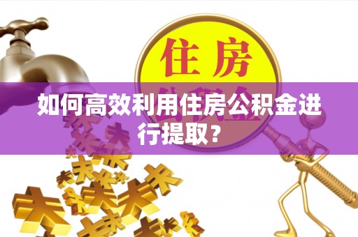 朔州如何高效利用住房公积金进行提取？