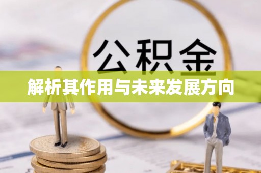 朔州解析其作用与未来发展方向