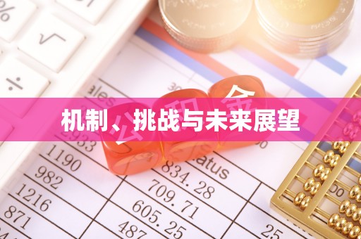 朔州机制、挑战与未来展望