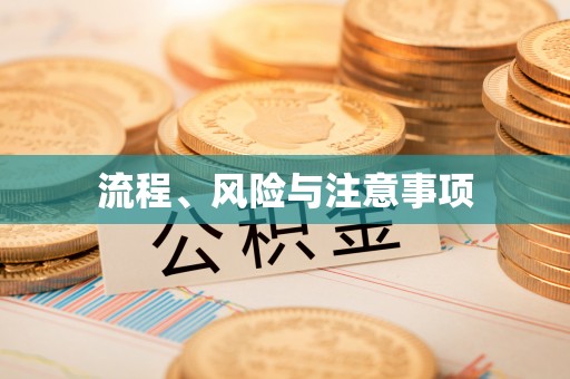 朔州流程、风险与注意事项